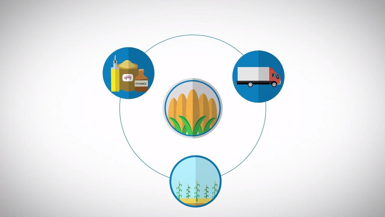 Corn Production