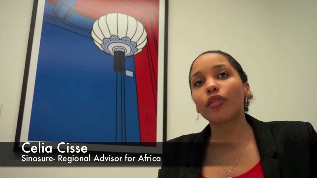 INSURANCE BANKs: SINOSURE - MIGA - EXIM