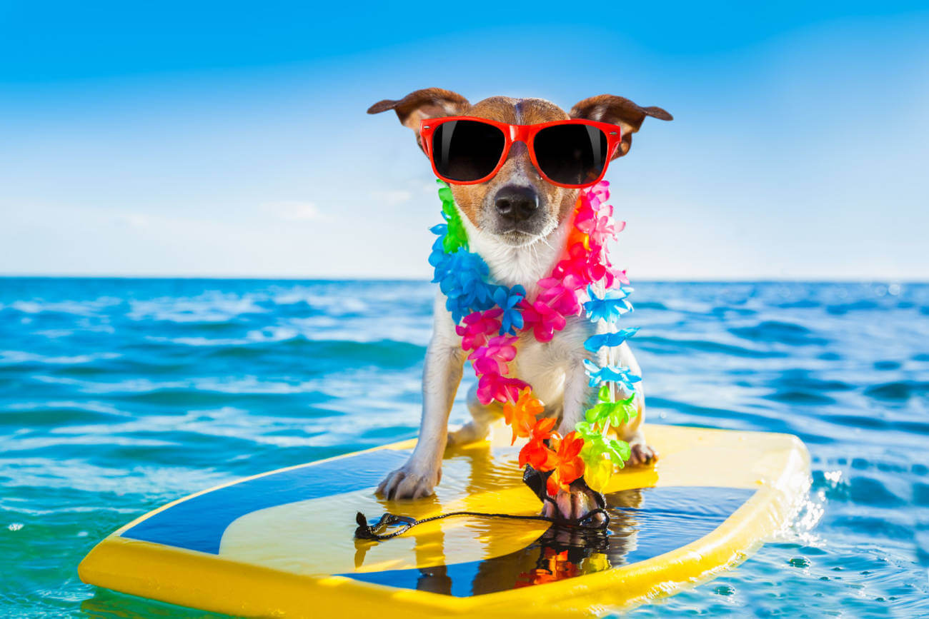 Will we see animals getting married as a result of the Trans-Pacific Partnership?