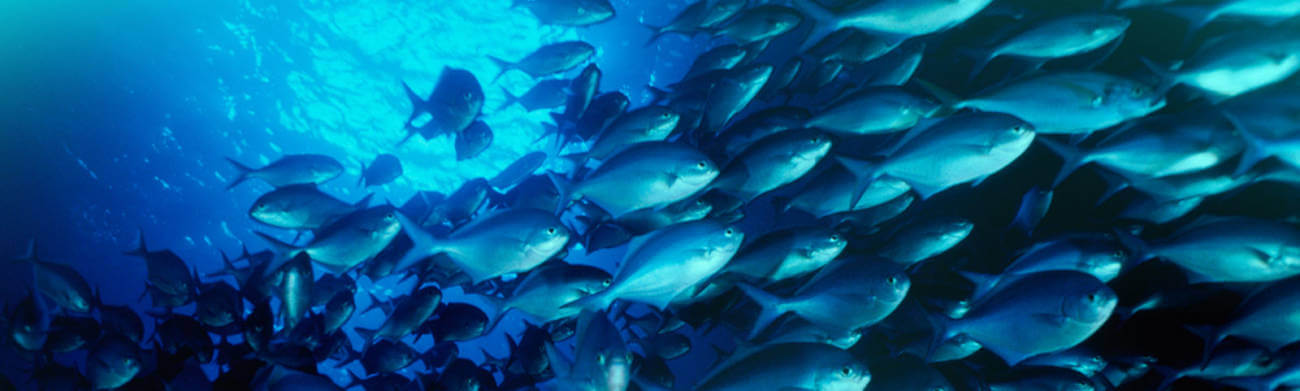 An Interview with Toby Lanyon and Guy Willans from Trade River Finance