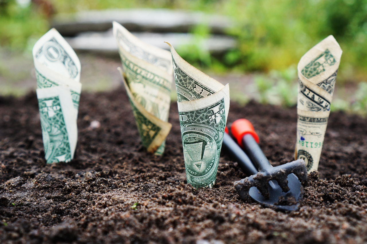 Gopher, Loonie, Swissie – What are the most popular currency pairs?