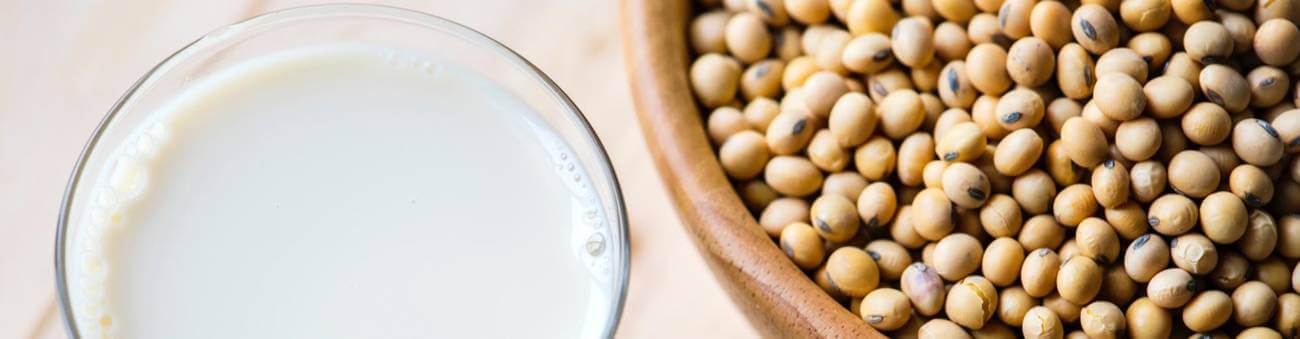 Rapeseed & Soybeans – A Market Overview