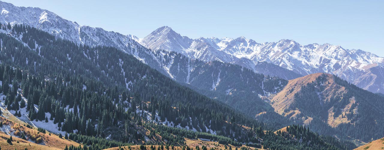 KAZAKHSTAN Market Overview: Grain and Oilseeds Update