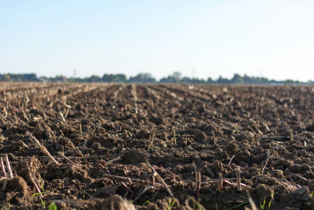 Fertiliser