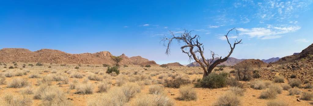 MANAGING AFRICA’S GROWING DEBT BURDEN