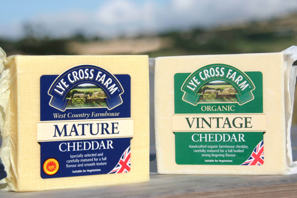 Chedder
