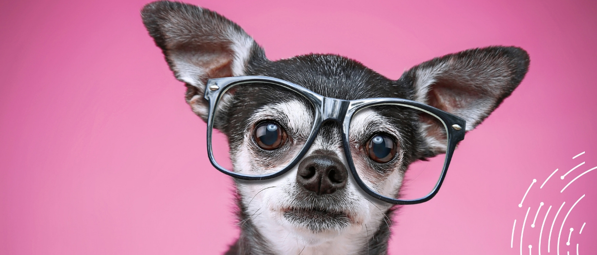 Let’s Get Geeky: Inside the Mind of Standardised Trust: Interview with Harri Rantanen