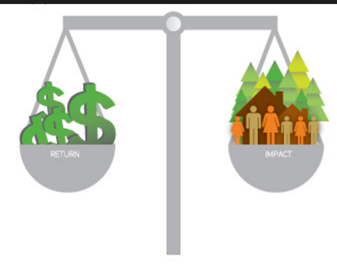 Sustainable Investment and Microcredit