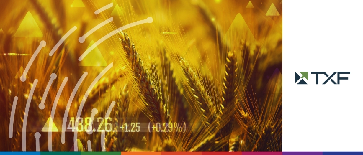 TXF Global Commodity Finance 2020 [Virtual]