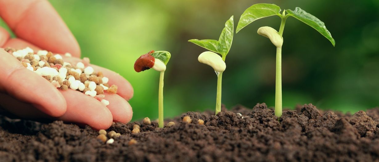 Agrocorp receives $50M  from FMO and Rabobank to enhance food supply chains