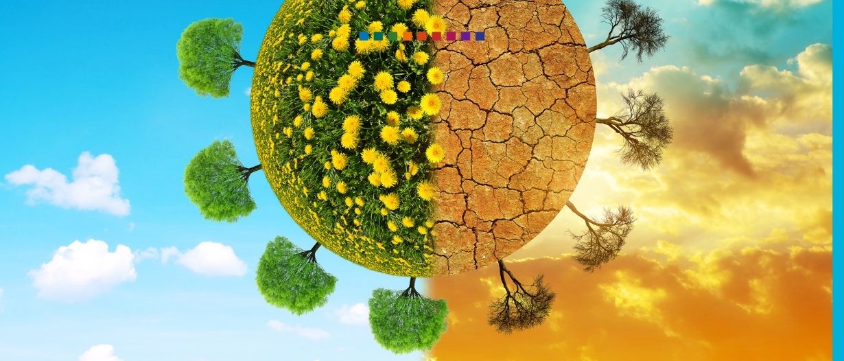 Accountants ‘deeply concerned’ social and environmental impacts