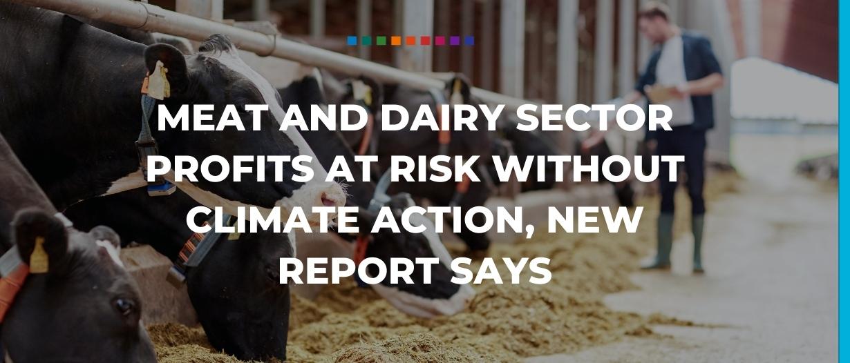 Meat and dairy sector profits at risk without climate action, new report says
