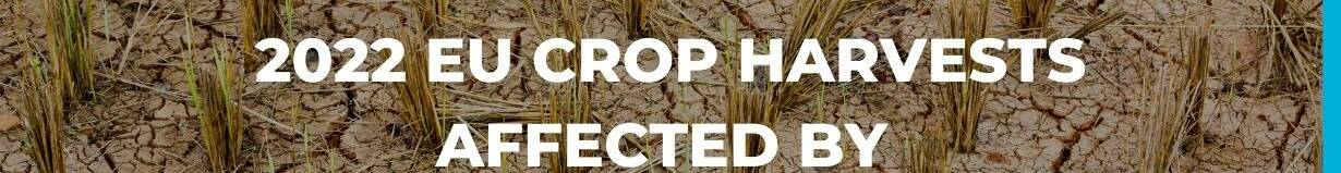 Heatflation warning as 2022 EU crop harvests affected by climate change