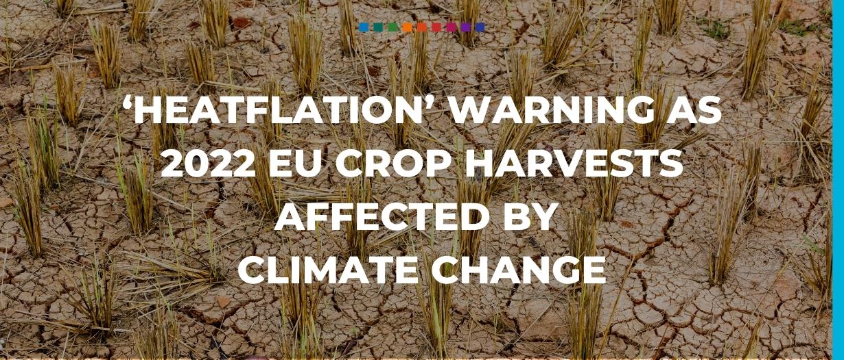 ‘Heatflation’ warning as 2022 EU crop harvests affected by climate change