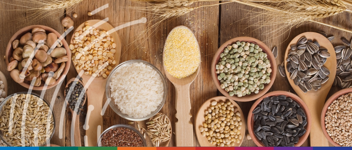 United Nations reports decline in food prices, defying persistent global inflation