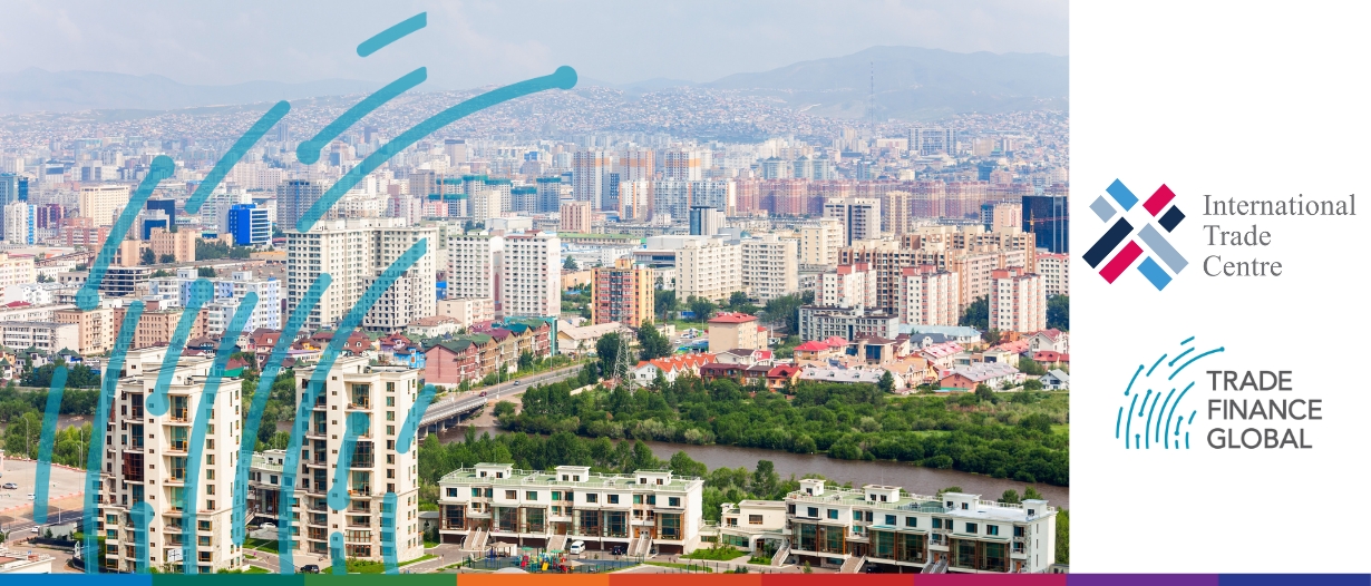 VIDEO | Access to finance: How Mongolia is scaling up MSME support and promoting African MSMEs with local solutions