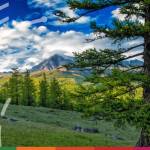 From deserts to forests Mongolia