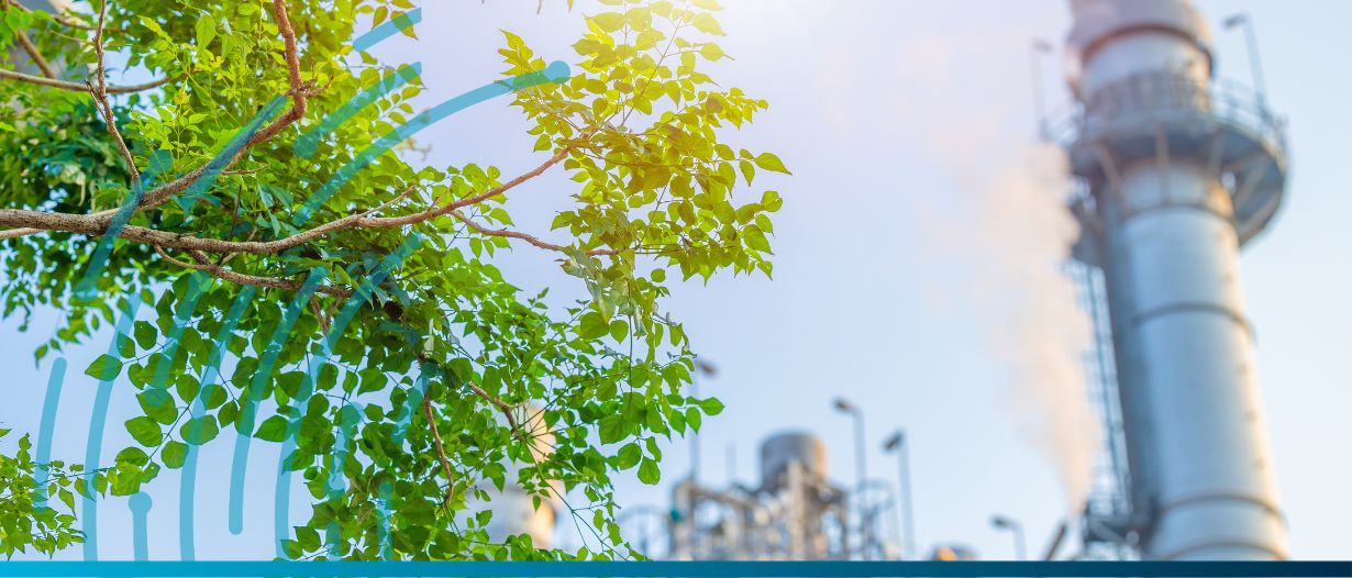 COP28: Germany and Chile to form climate club to enhance green transition in developing countries