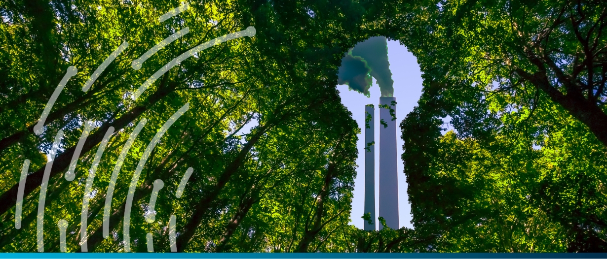 ‘Green’ commodity markets: Robust environmental claims vs risk of greenwashing