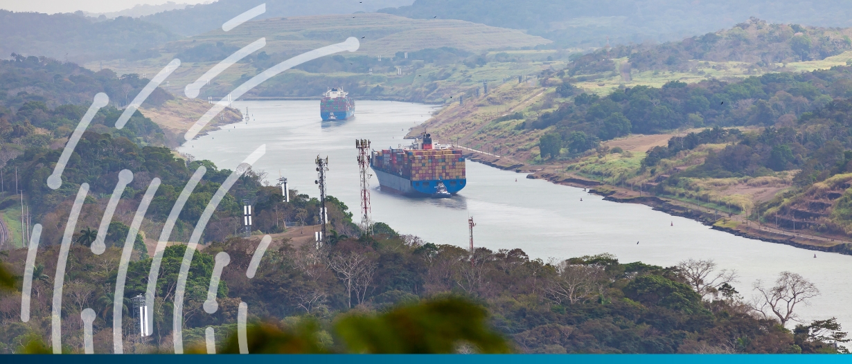 Not just the Red Sea: Panama Canal crossings down 36%