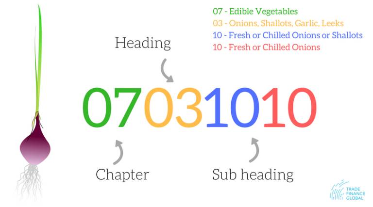 What is an HSN Code? HSN Codes Explained - TFG Guide [Updated 2026 ]