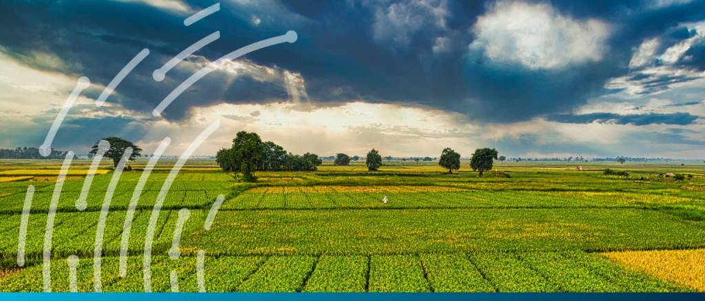 IFC launches $4bn MSME finance platform for emerging markets