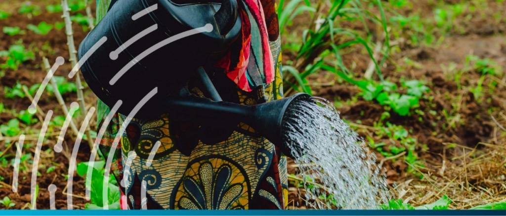 African trade war escalates as Tanzania bans all agricultural imports from South Africa, Malawi