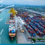 DP World extends pioneering carbon credit scheme after strong demand