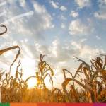 99% of EBRD partner banks recognise climate change reality So what’s next (2)