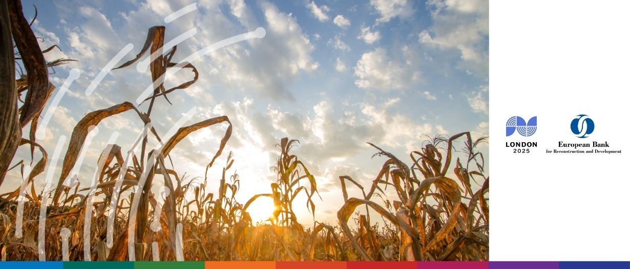 99% of EBRD partner banks recognise climate change reality: So what’s next?