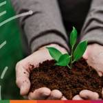 PODCAST Sowing the seeds for sustainable commodity finance