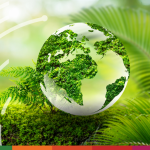 ARTICLE 2 Global rules, local impact