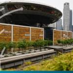 Singapore court dismisses £14m letter of credit fraud claim