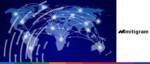 Global digital trade finance network with interconnected markets.
