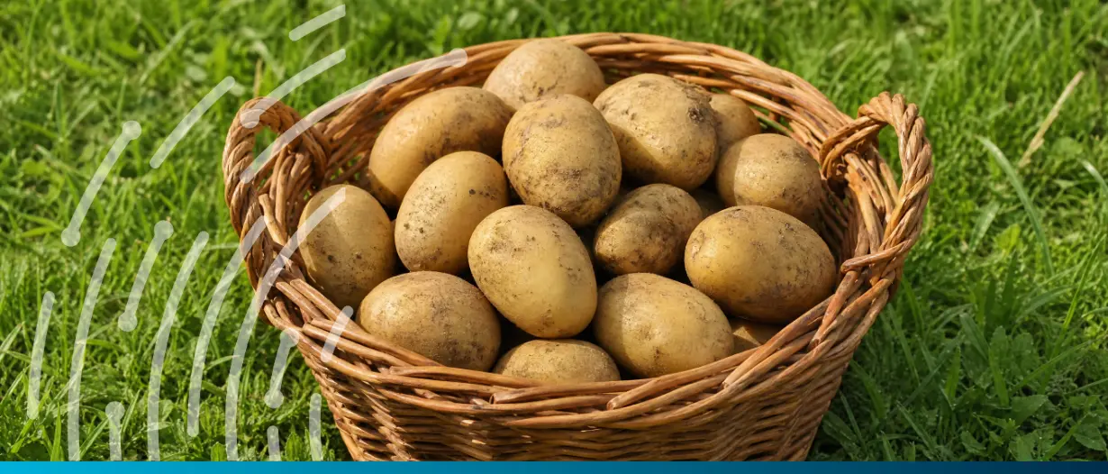 Ethiopia and Kenya are formalising small-scale trade, but traders might still choose informal routes