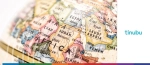 Close-up of a political world globe focusing on Africa and the Middle East, featuring the Tinubu logo for a trade credit insurance report.