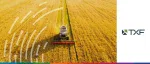 TXF APAC Commodity Finance event banner featuring agricultural harvesting and global commodity trade themes.