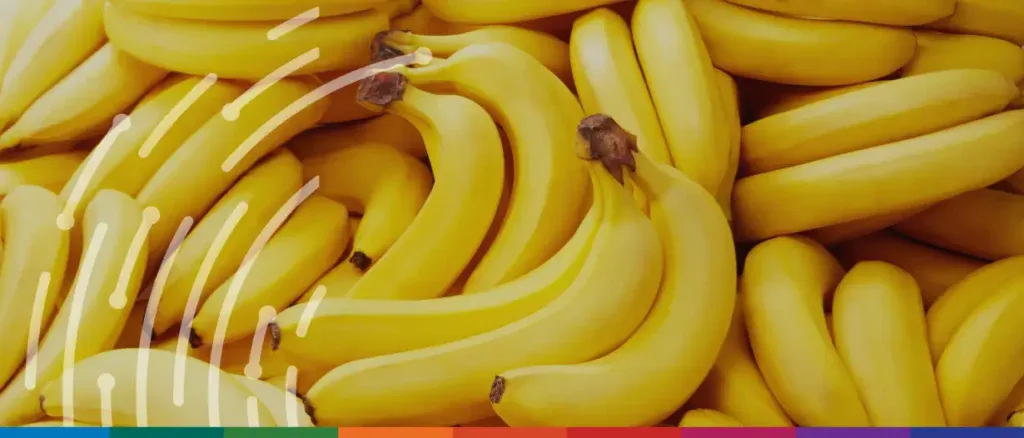 A close-up photograph of a large pile of bright yellow, ripe bananas. Faint, white stylized curved lines and dots are overlaid on the left side of the image, and a thin multi-colored banner runs along the bottom edge.