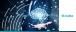 Tinubu secures $45 million in growth capital led by Morgan Stanley Expansion Capital to scale specialty insurance SaaS.